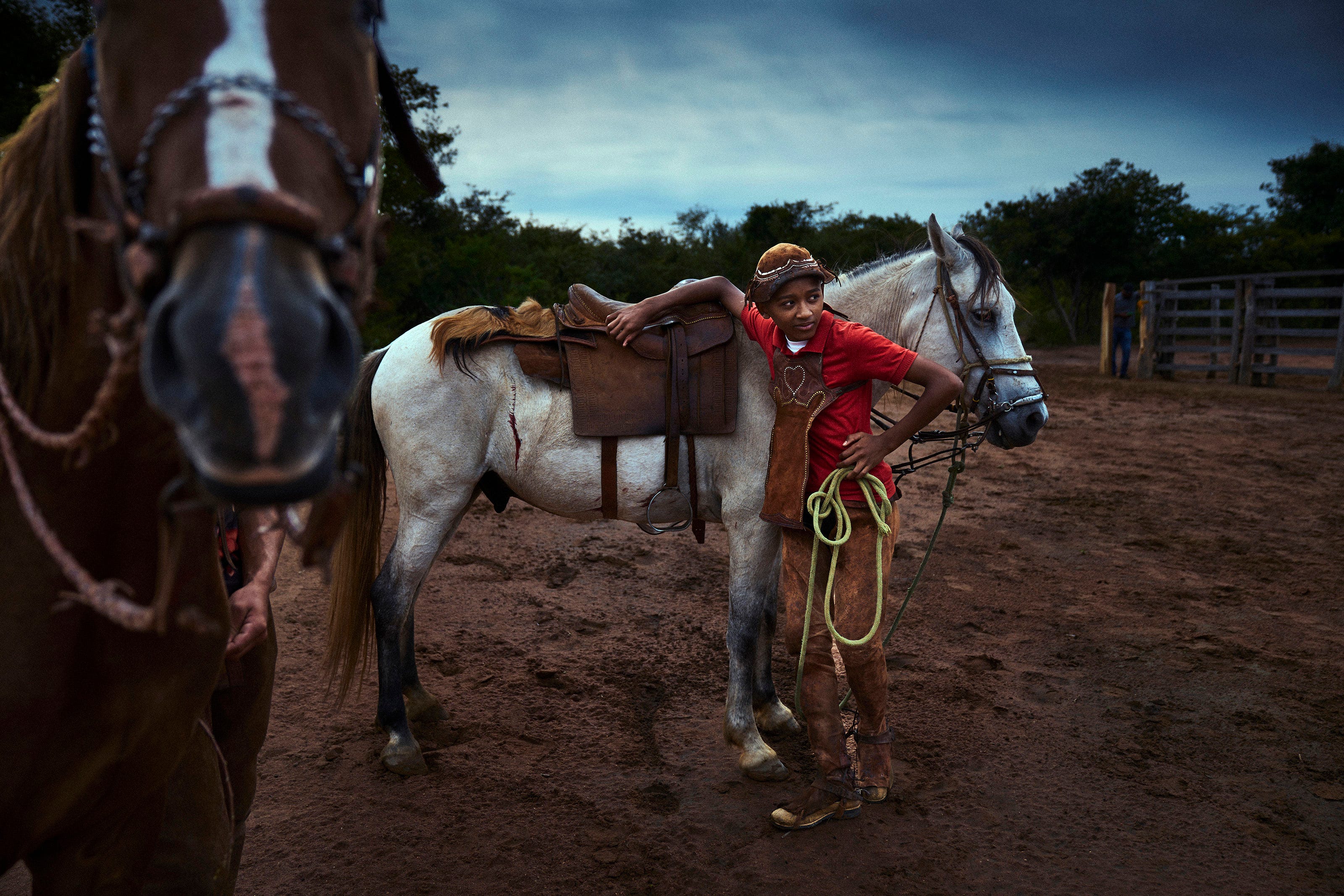 A young boy in a red shirt and cap stands beside a saddled white horse, holding its reins in a dirt corral at dusk. Another horse’s head is visible in the foreground. Trees and a wooden fence are in the background.