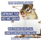 Chipmunks Play Hide and Squeak While Permit Delays Stall Conners Emerson Building Start 
