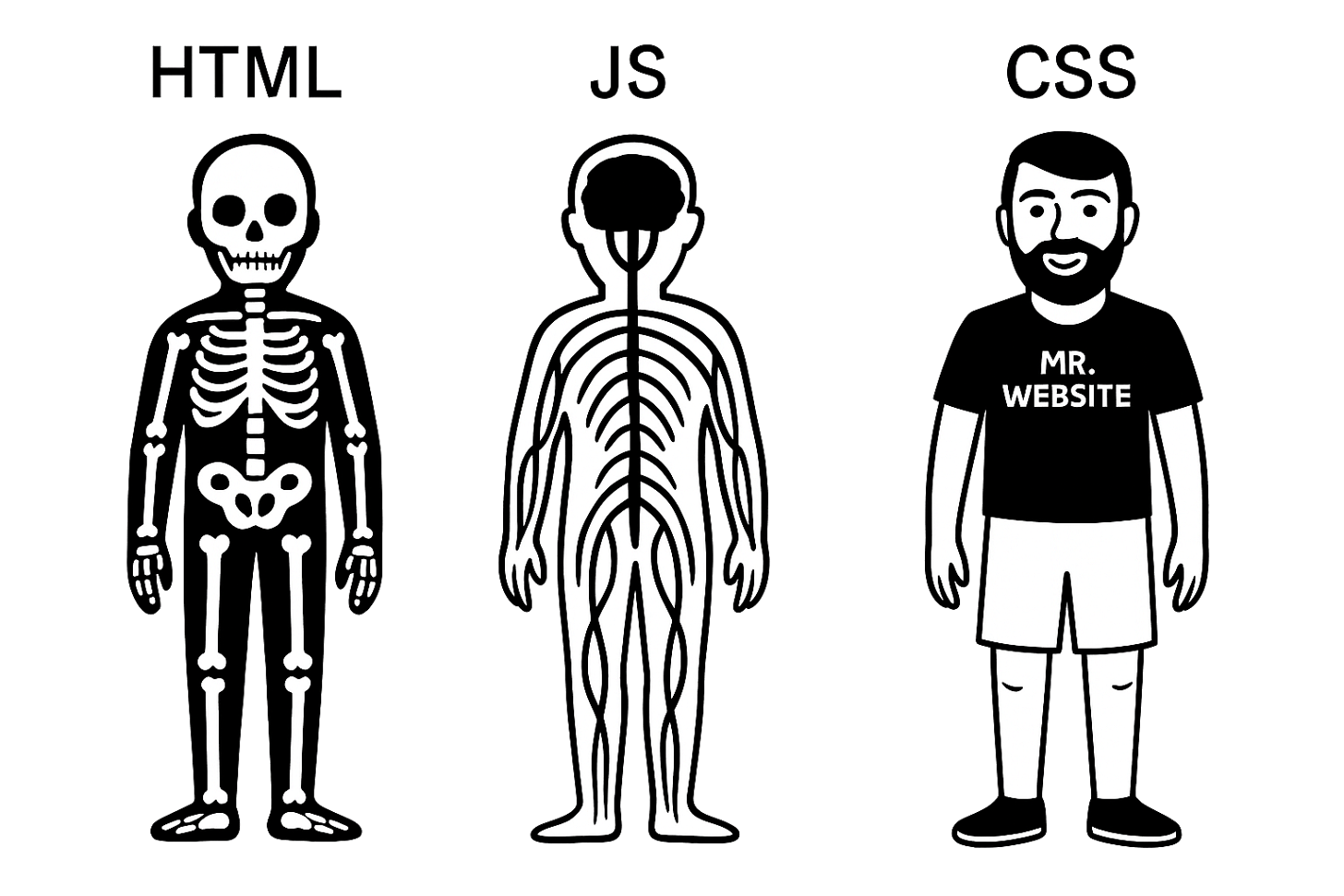 Obrázek ukazuje lidskou kostru jako HTML, mozek, nervovou soustavu a svaly jako JavaScript a kůži, vlasy, oblečení jako kaskádové styly.