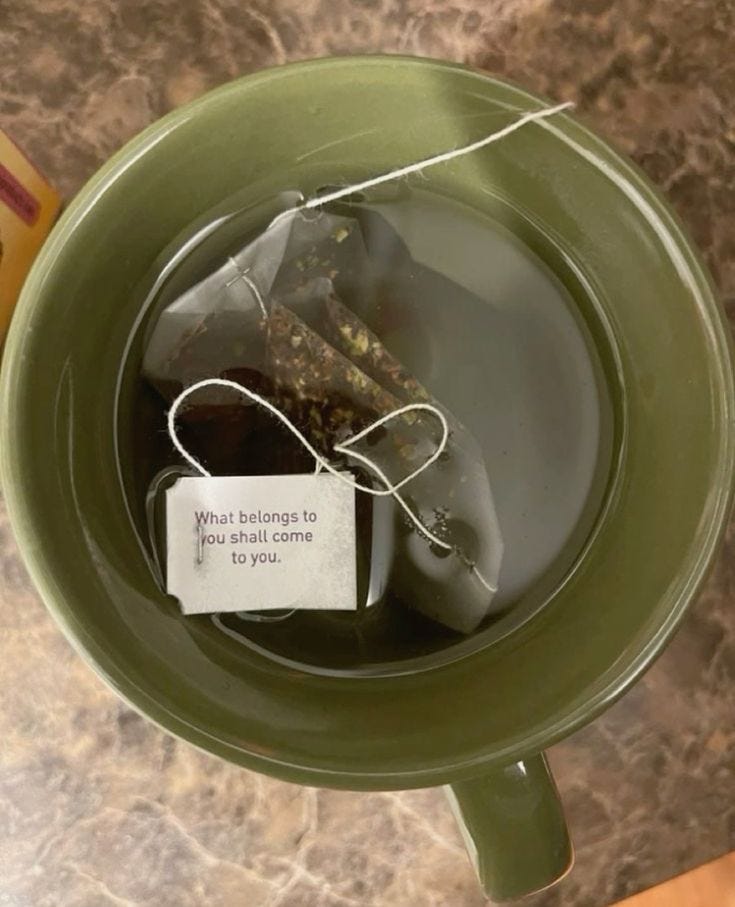 Hình ảnh Ghim câu chuyện