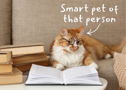 A picture of an orange and white fluffy cat sitting on a couch wearing eye glasses and looking at an open book with text that reads "smart pet of that person"