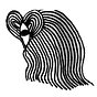 Talib Hussain's avatar