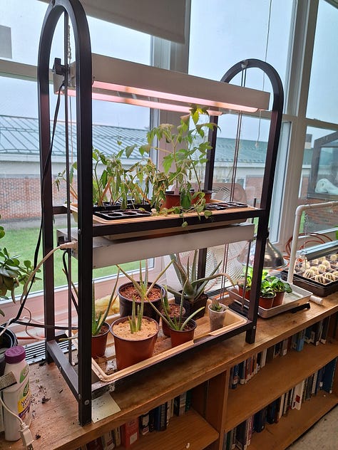 maine school garden network conference