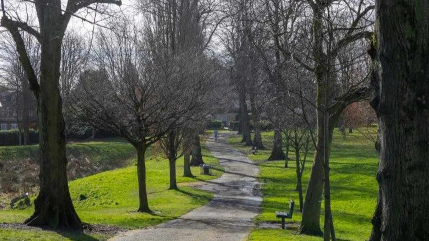 Tree-lined path in a grassy park with benches.