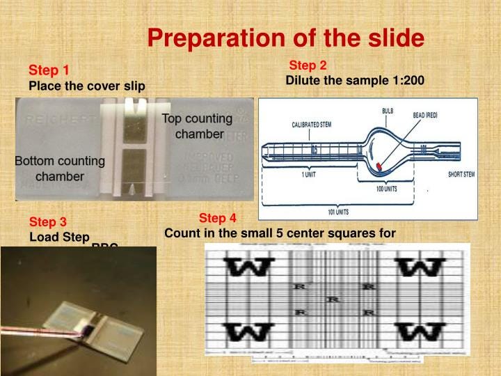 slide25