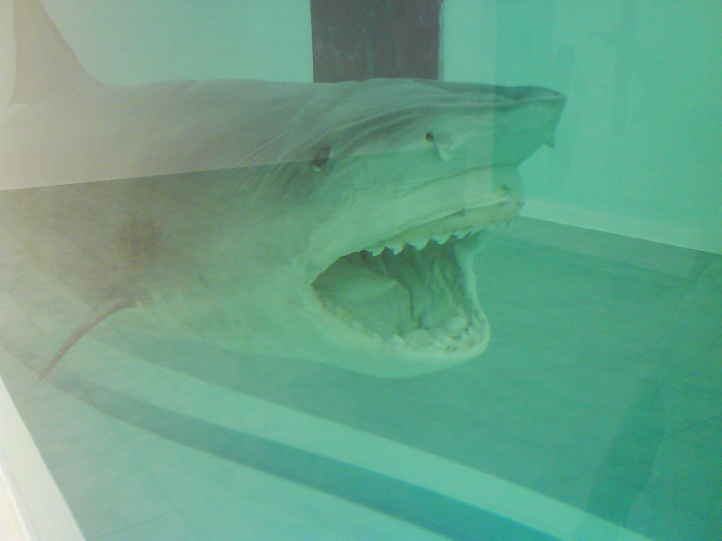 Damien Hirst, Death Denied, 2008. PinchukArtCentre, Kyiv. Damien Hirst, Death Denied, 2008. PinchukArtCentre, Kyiv.