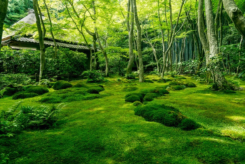 Gio-ji Temple garden © i6k / Shutterstock.com Gio-ji Temple garden © i6k / Shutterstock.com