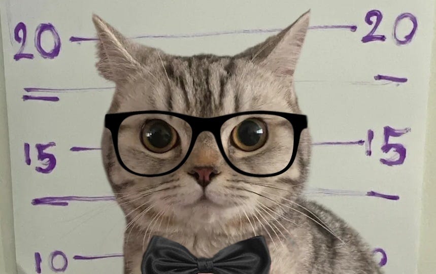 Photoshopped image of a grey tabby cat's staged 'mug shot,' in front of a hand-drawn height chart, at a Bangkok police station, taken while the cat was waiting to be reunited with her owner. The cat had nipped at officers, so they 'arrested' her and took paw prints. (Kitty was returned to her owner, with the pawprints and mug shot as a souvenir.) We have superimposed a black bow tie and black-rimmed nerd glasses onto the original May 2025 photo. 