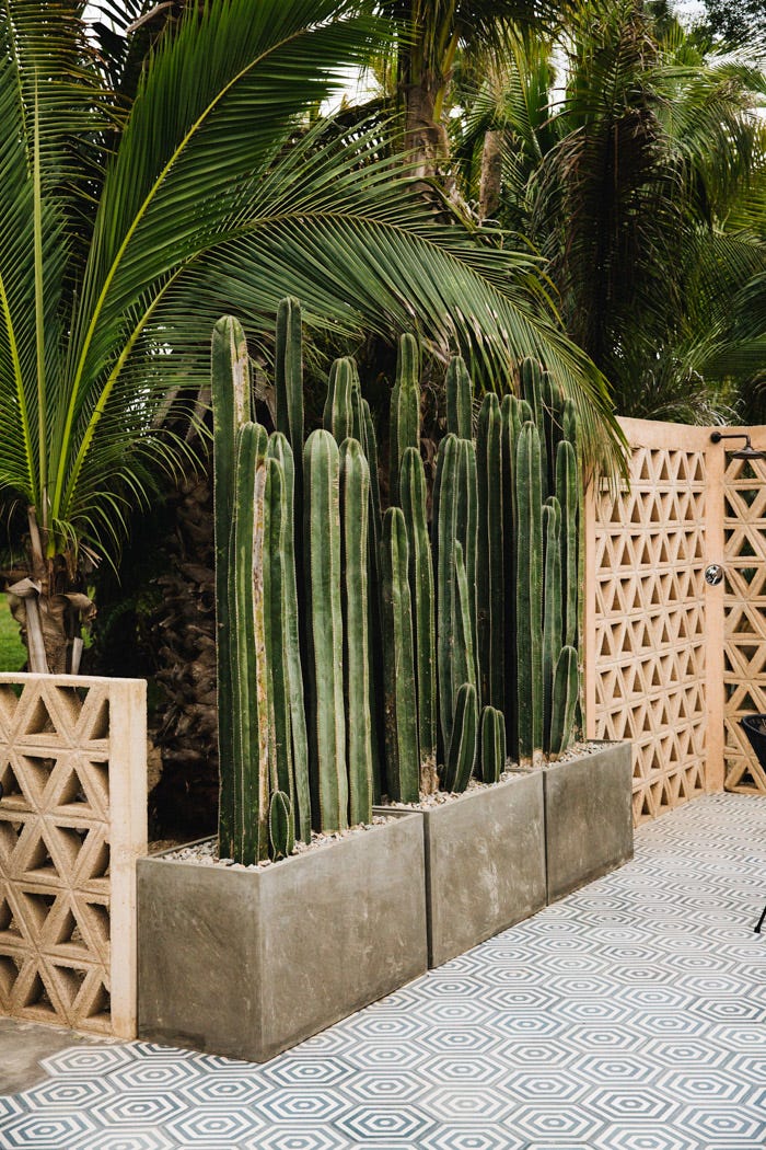 Breeze blocks at Acre Baja Hotel in Cabo Breeze blocks at Acre Baja Hotel in Cabo