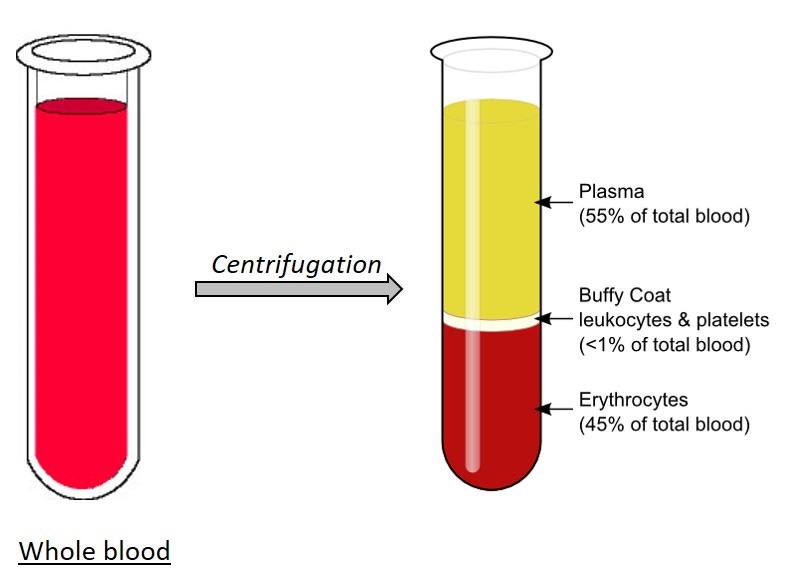 Blood plasma - HORIBA Blood plasma - HORIBA