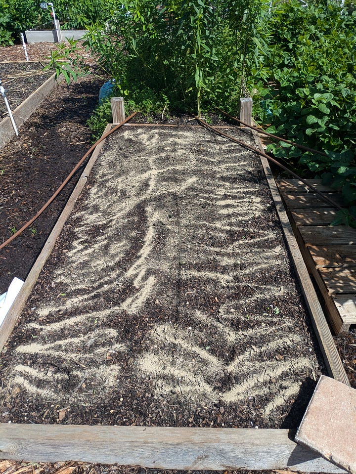 A series of four images showing the process of mixing soil amendments into a garden bed’s native soil. The first image shows the garden bed with amendments on top, the second shows the soil spread evenly, the third is a close-up of the amended soil in a bucket, and the fourth highlights fertilizer mixed into the top layer of soil.