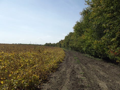 Oxbow Inc. Wetlands and Wildlife Refuge