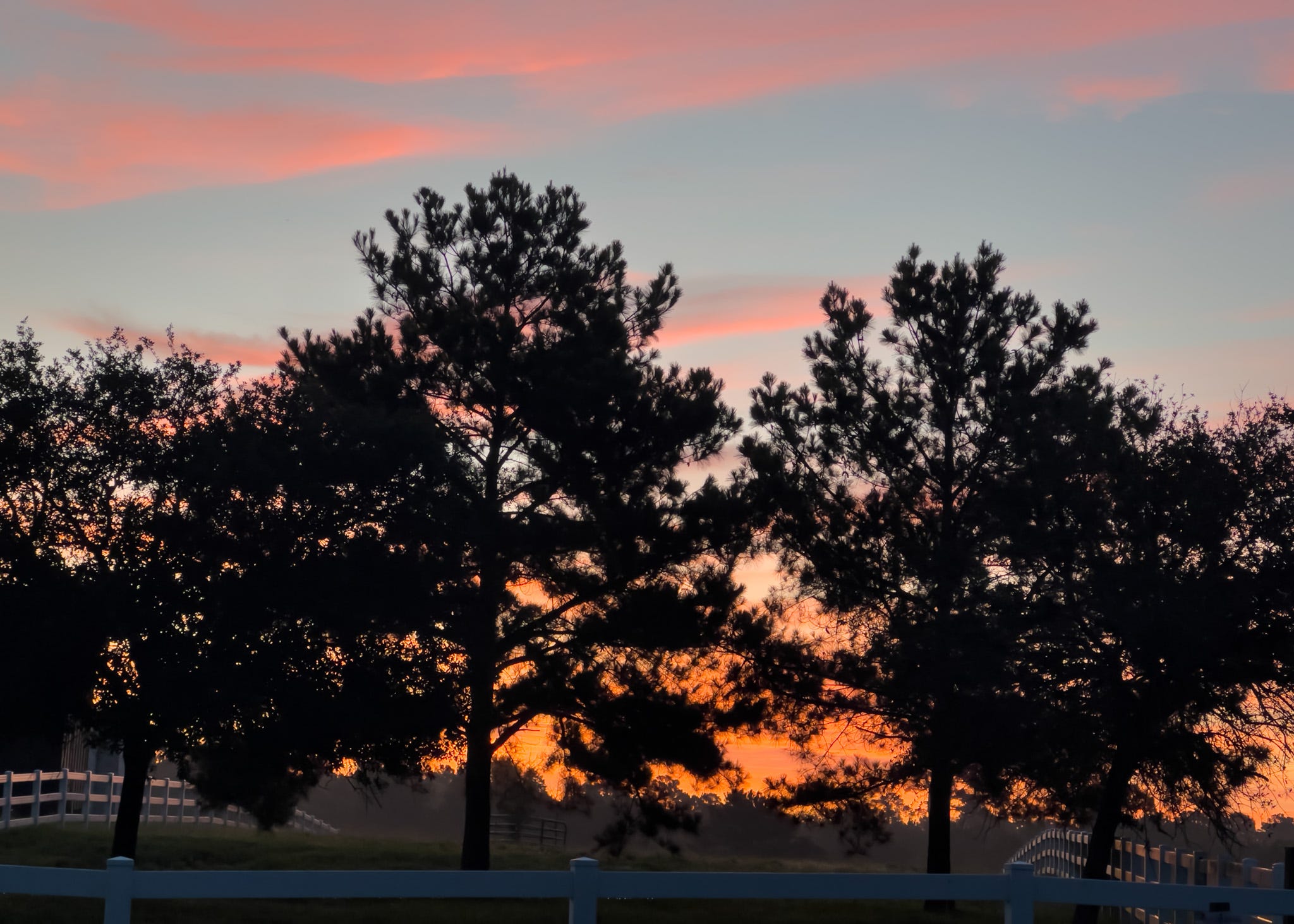 Silhouetted trees against a vibrant sunrise, showcasing shades of orange and pink in the sky with a white fence in the foreground.