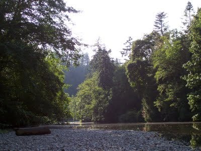 Downstream from Eden: Rooted by the River-bank