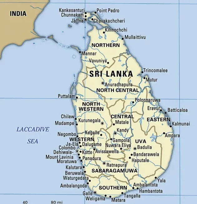Photo: Substack Sri Lanka: Dengue cases top 90,000, Syphilis cases up in 2025
