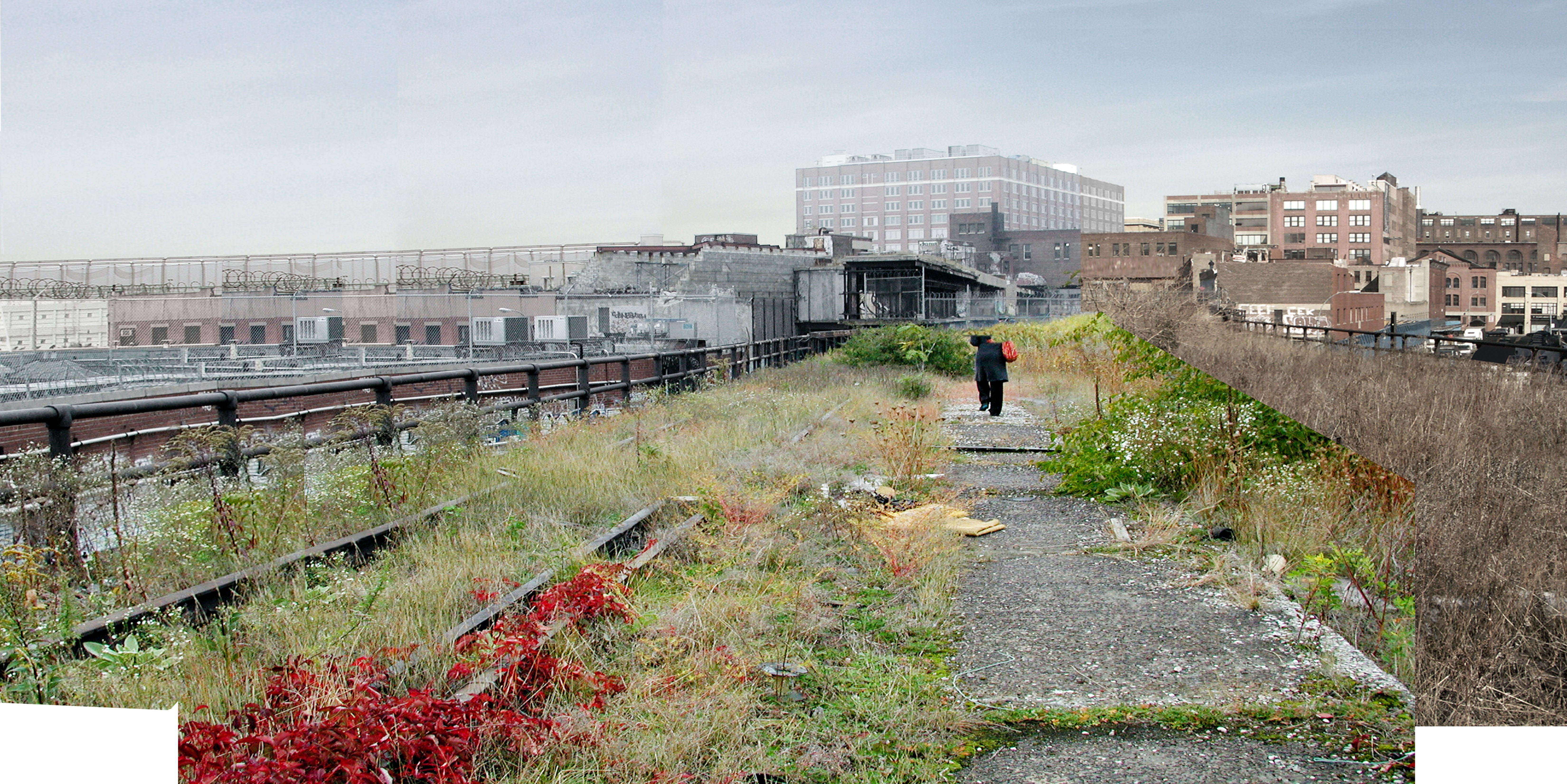 The Fertile Sections of Lower Manhattan (no it's not a Sonic Youth
