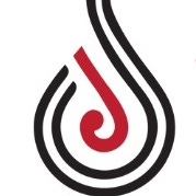 Mana Wāhine Kōrero on Substack