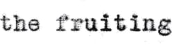 The Fruiting
