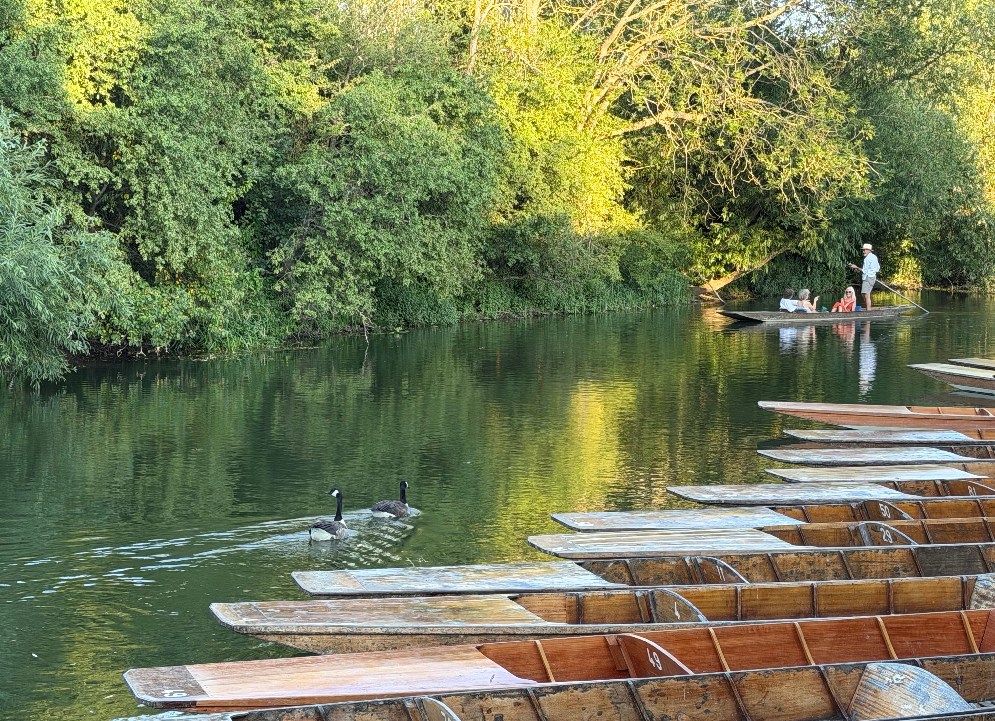 Postcard from Oxford - by Fiona Beckett