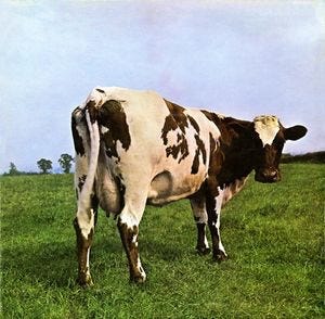 capa do disco do pink floyd: atom heart mother. uma vaca malhada branca e preta em um pasto verde com um céu azul acinzentado ao fundo.