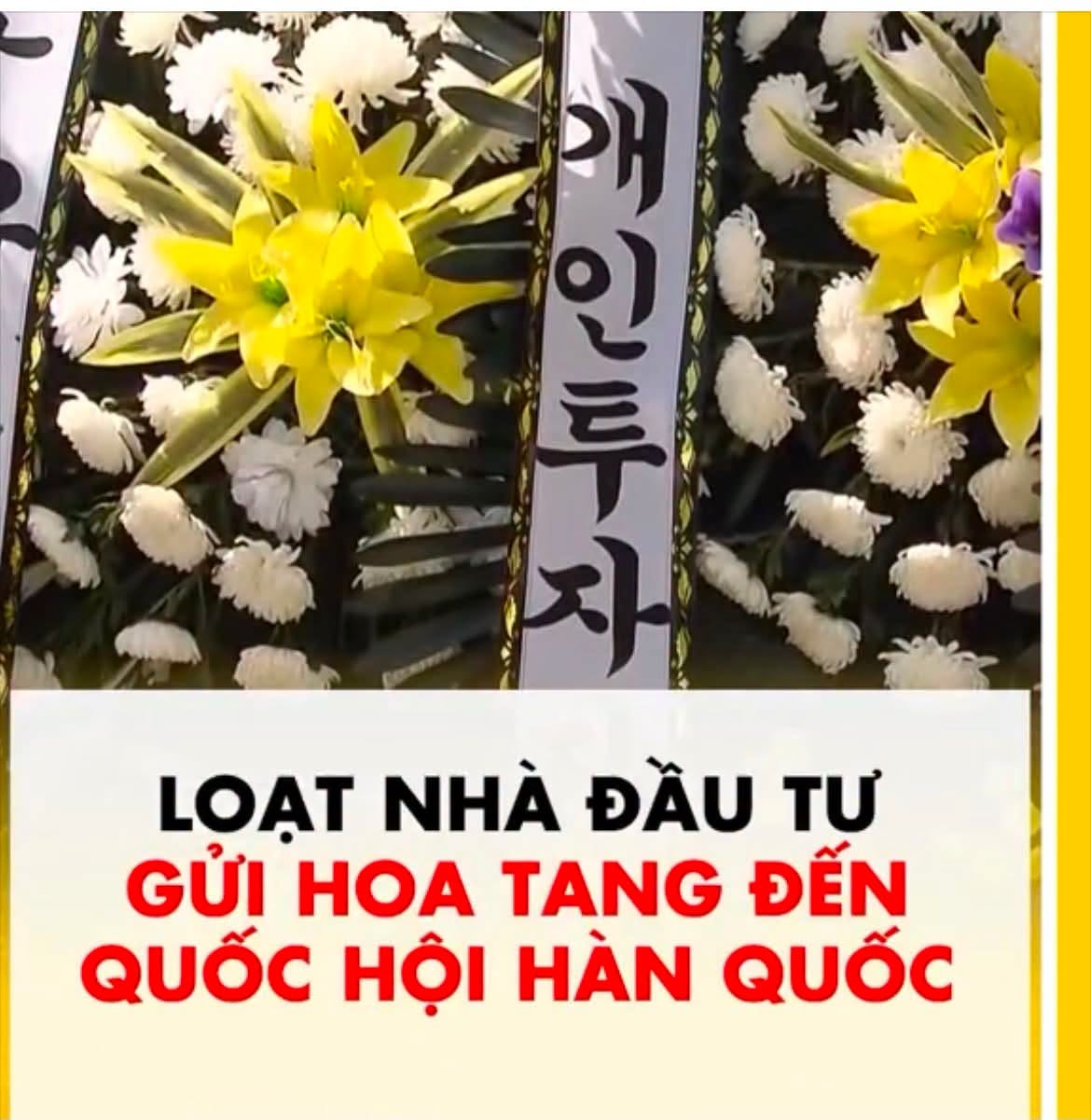 May be an image of flower and text that says "x매 내인투 o 인든 E LOẠT NHÀ ĐẦU TƯ GỬI HOA TANG ĐẾN QUỐC HỘI HÀN QUỐC"