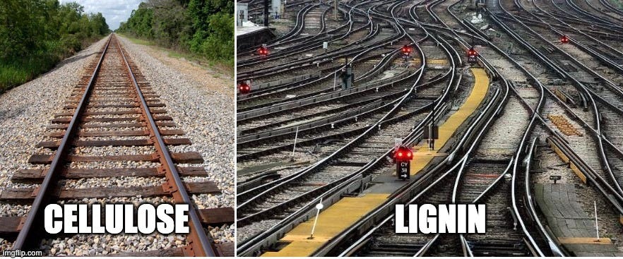 Image of straight railway tracks on the left, labeled "Cellulose", with absolute chaotic mess of railway tracks on the right labeled "lignin"