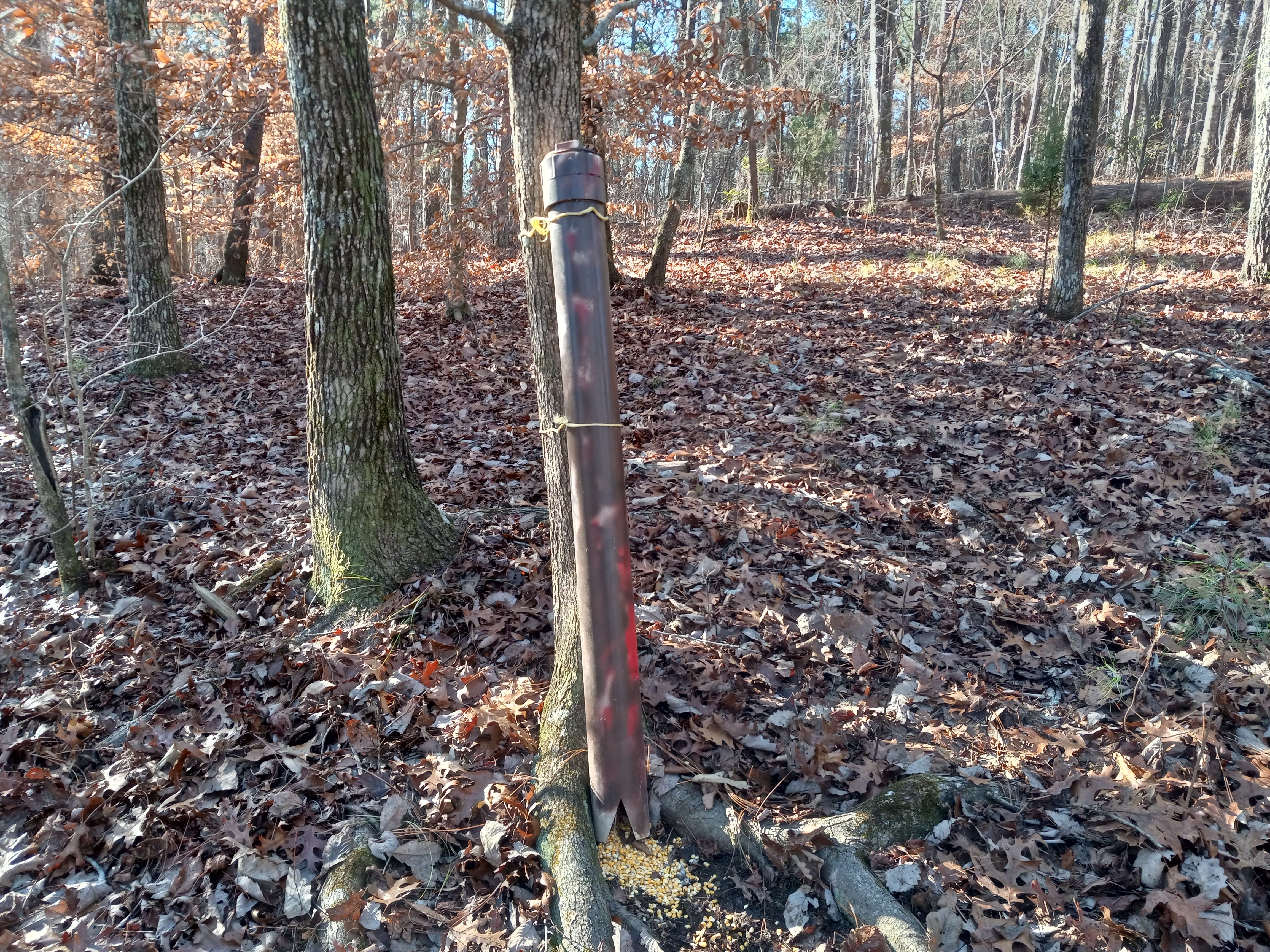 feeders - by Jeff Filler - o.d.h. ... (on Deer Hunting)