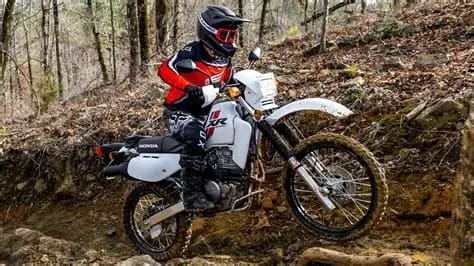 Dual Sport Motorcycle Low Seat Height - Infoupdate.org
