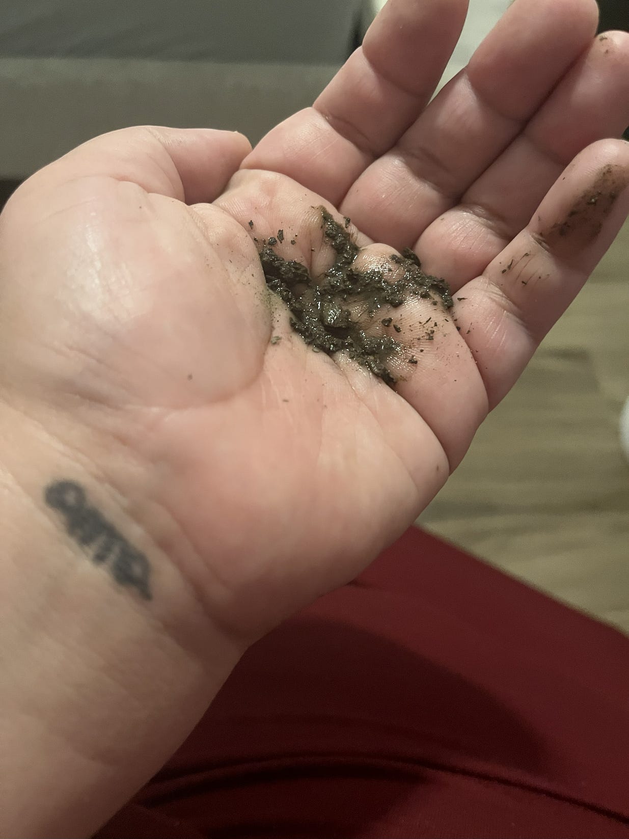 a woman’s overturned hand with the letters “ama” tattooed in cursive on her wrist. In her palm is wet soil.