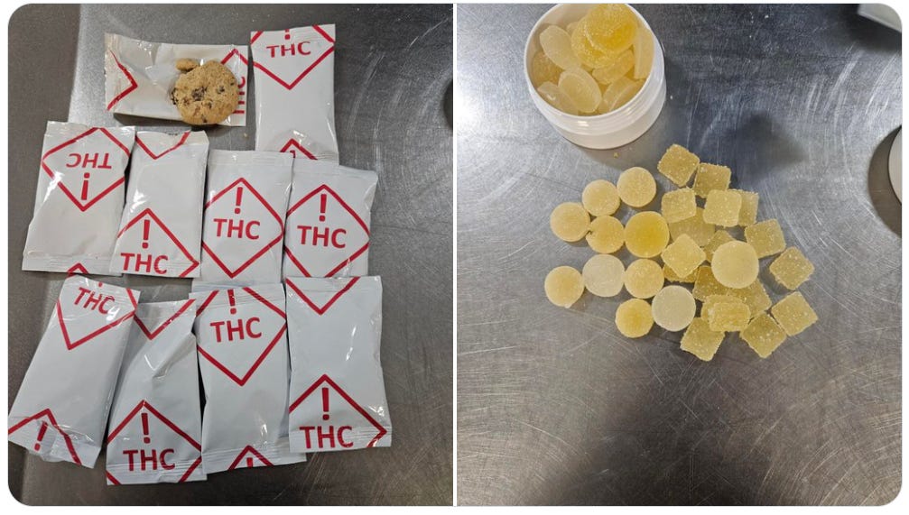 A cruise passenger returned to Port Canaveral, Florida, in April with some forbidden souvenirs. These THC gummies, cookies, and THC vape cartridges were found in his luggage (CBP photos)