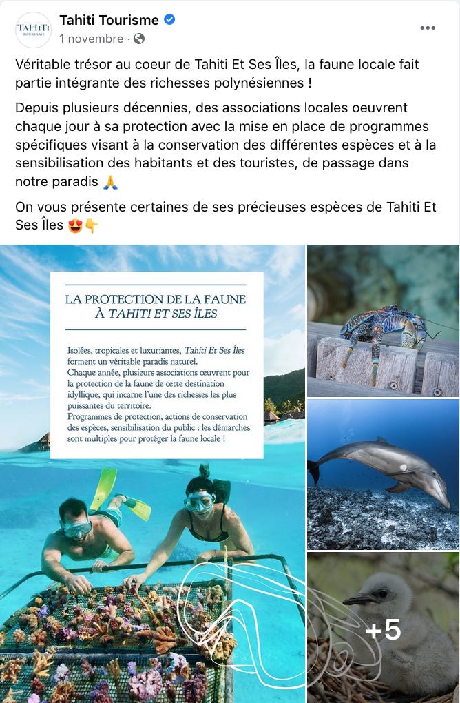 Photo de 2 plongeurs (un homme et une femme) sous l’eau turquoise de Tahiti, portant à bout de bras un filet pour la protection des coraux.