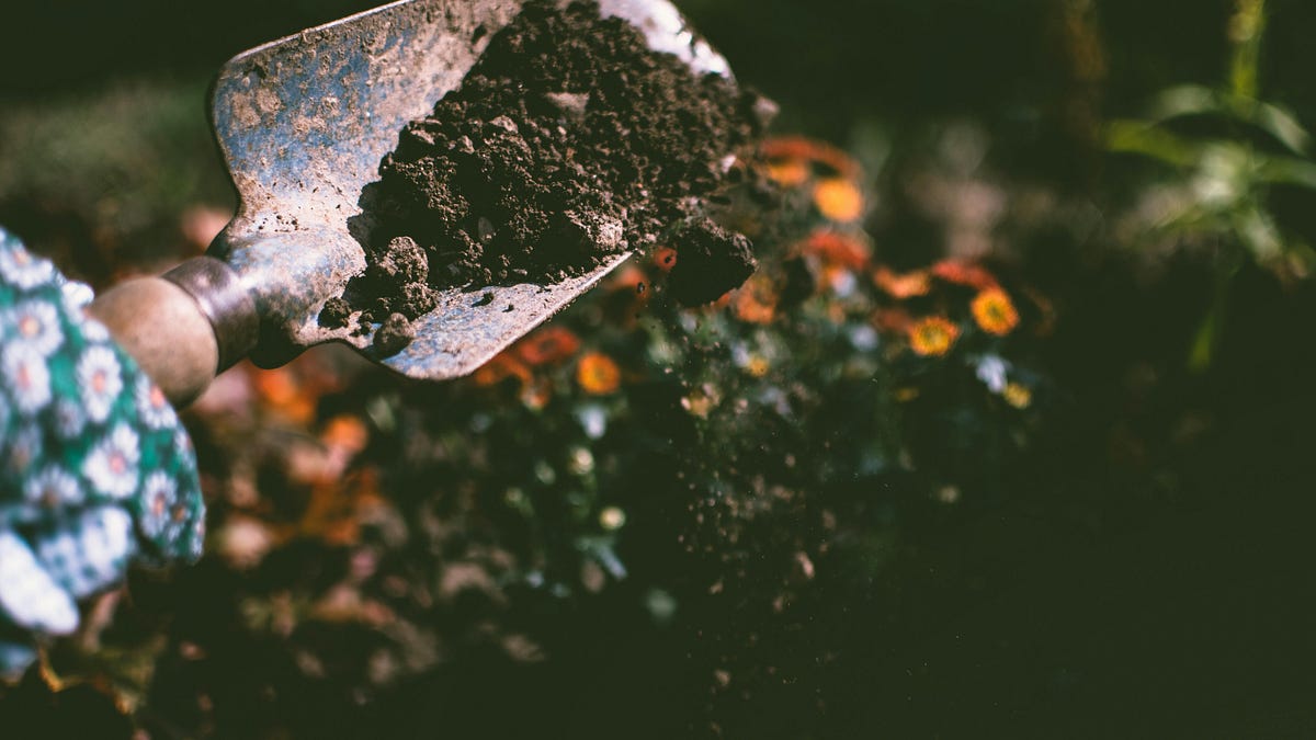 The Discipline of Mental Composting - by Mariella Hunt