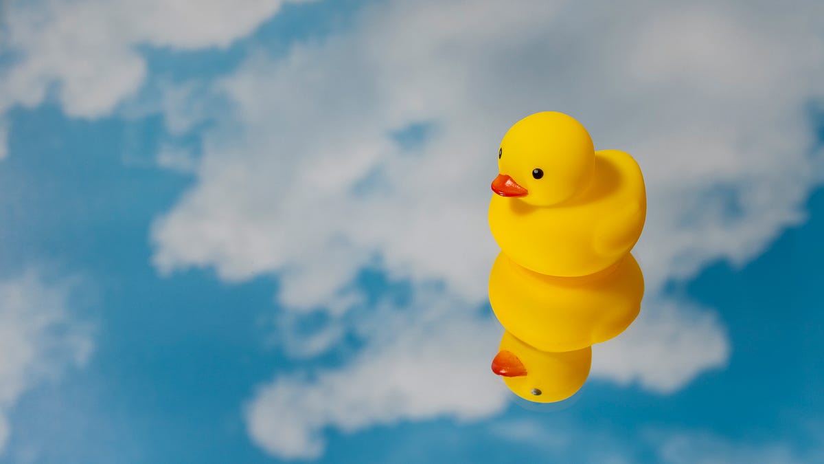 How Talking to a Rubber Duck Made Me a Better Developer