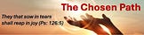 Dr. Leah Halpert - The Chosen Path