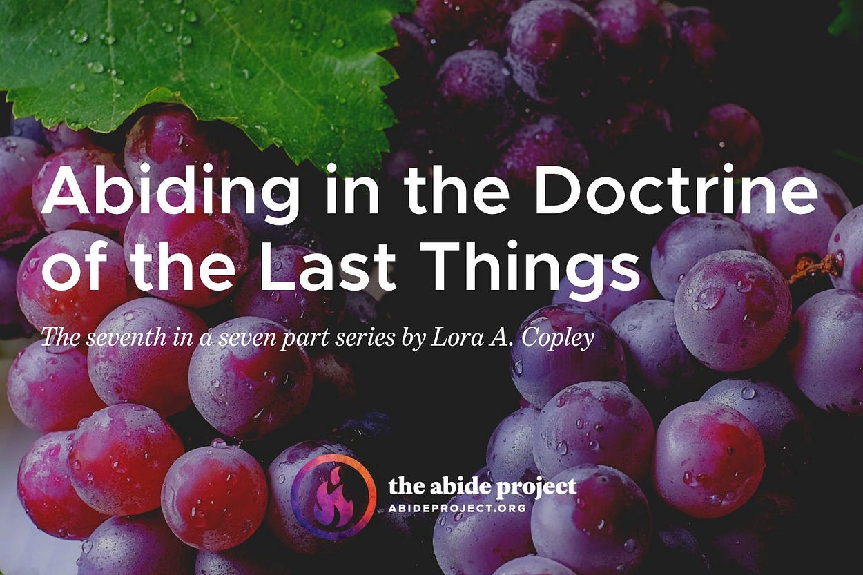 The Abide Project | Substack