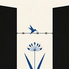 Colibrí