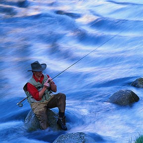 Nick's Fly Fishing Chronicles: FishTales and River Whispers