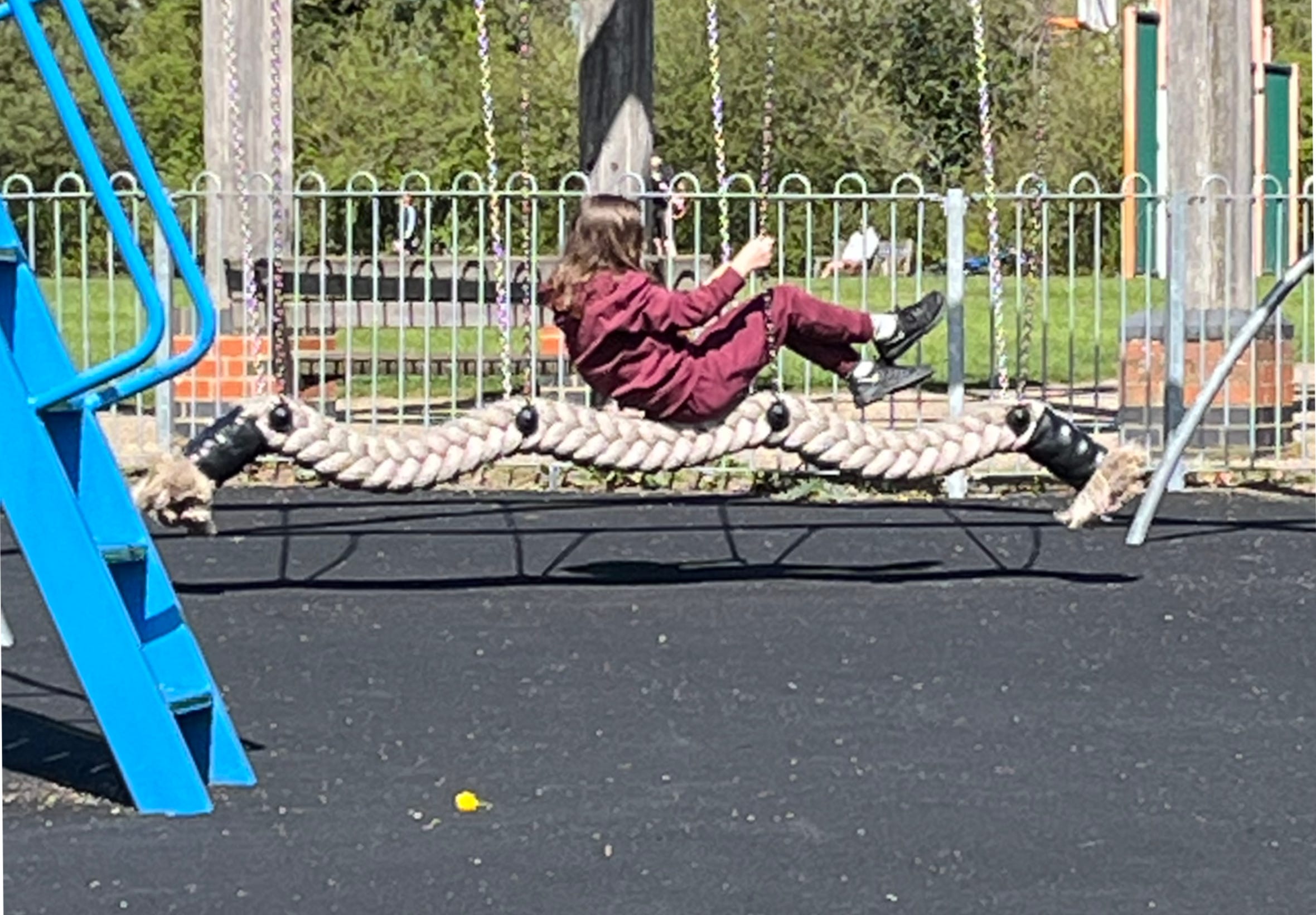 A little girl swinging on a rope swing in the park