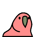 Parrot