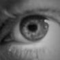 Marco Noris's avatar