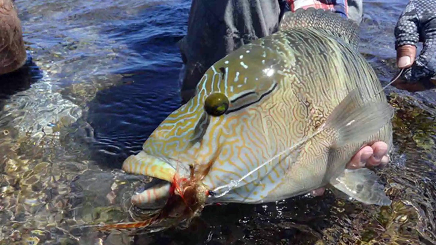 Providence has it all!