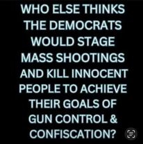 May be an image of text that says 'WHO ELSE THINKS THE DEMOCRATS WOULD STAGE MASS SHOOTINGS AND KILL INNOCENT PEOPLE TO ACHIEVE THEIR GOALS OF GUN CONTROL & CONFISCATION?'