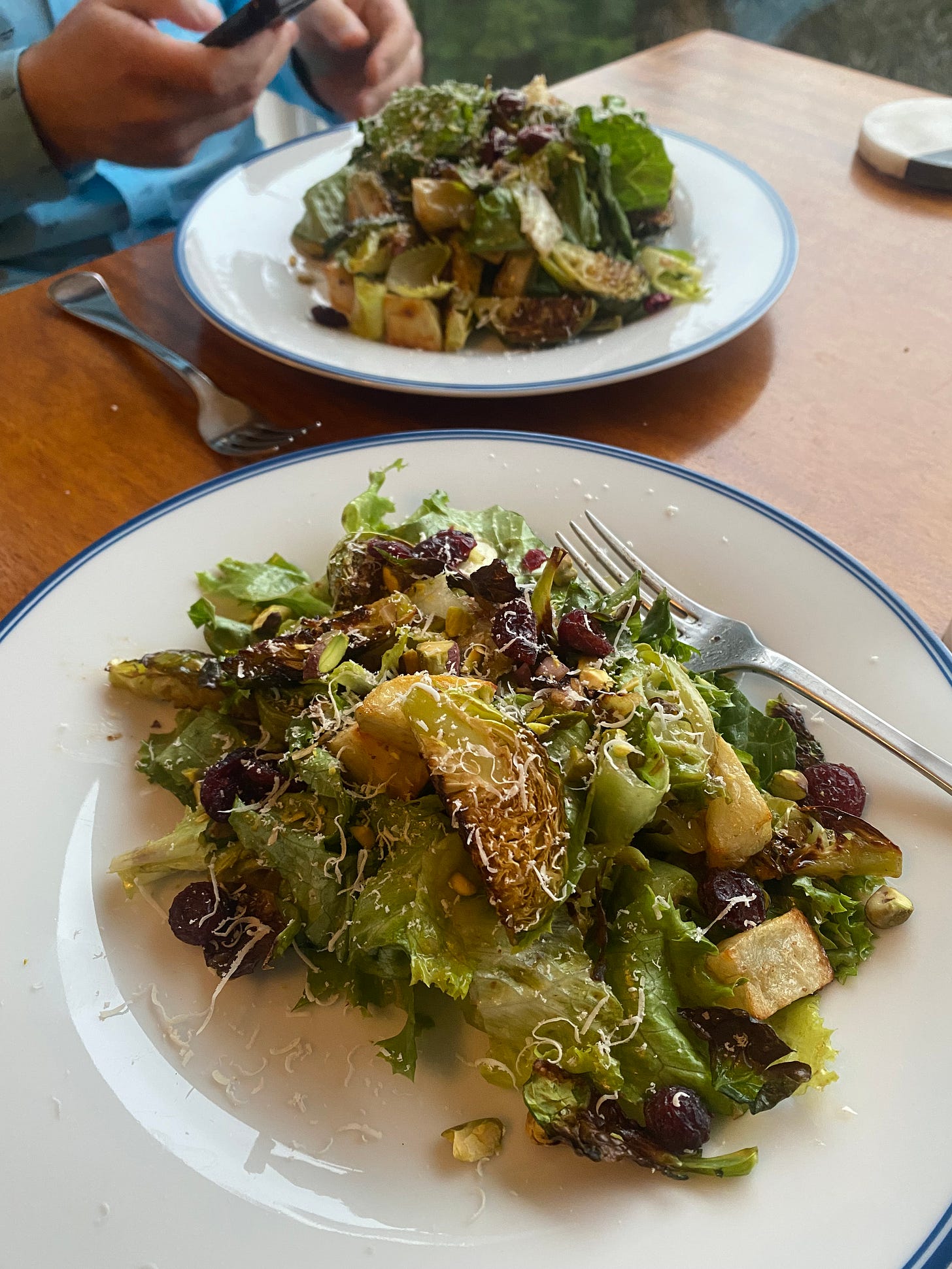 Two plates with the salad described above: green lettuces, roasted brussels sprout pieces and potato chunks, with pistachios, dried cranberries, and parmesan.