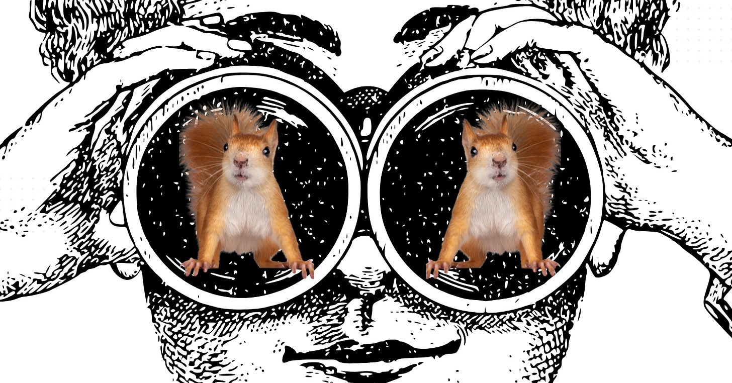 A drawing of a Victorian woman holding a pair of binoculars and smiling. Reflected in the lenses is a confused looking squirrel
