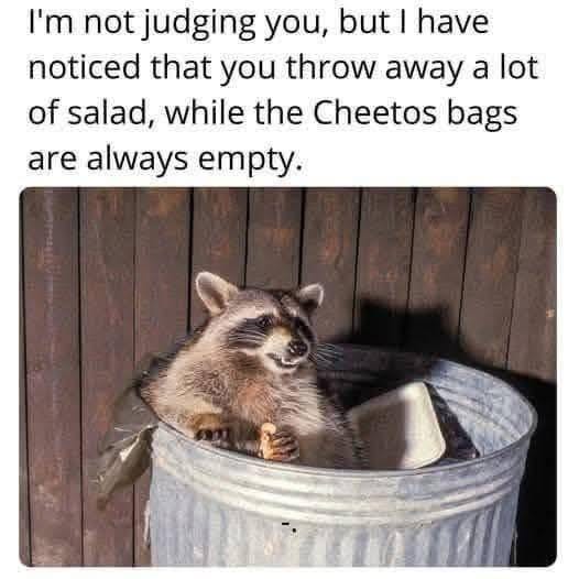 May be an image of text that says 'I'm not judging you, but I have noticed that you throw away a lot of salad, while the Cheetos bags are always empty.'