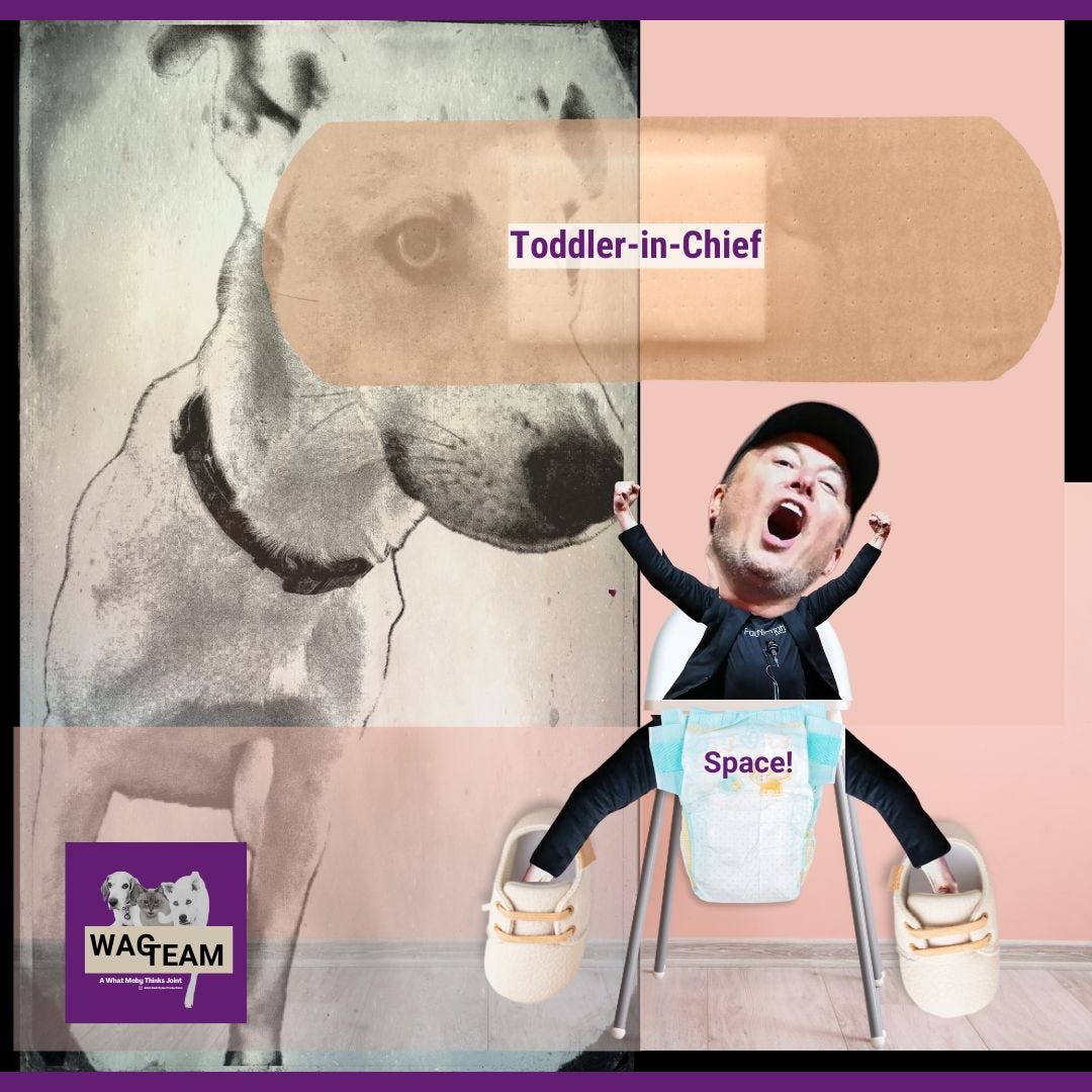 A surreal nursery scene where tech's most famous tantrum-thrower appears in a giant diaper labeled 'Space!' complete with walker, while a philosophical dog looks on with visible concern in the background. The kind of image that makes you wonder if the simulation is glitching. WAG TEAM branding suggests this isn't your typical pediatric case study.