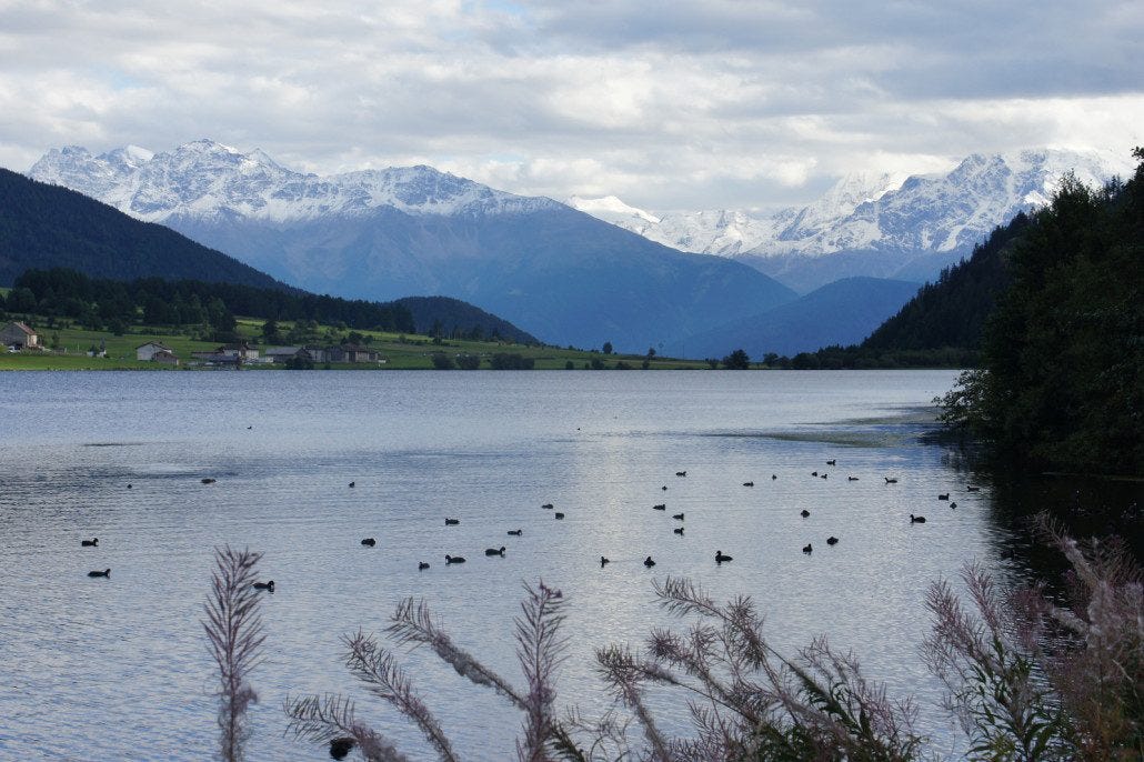 A view of the Alps across Lake Resia. A view of the Alps across Lake Resia.