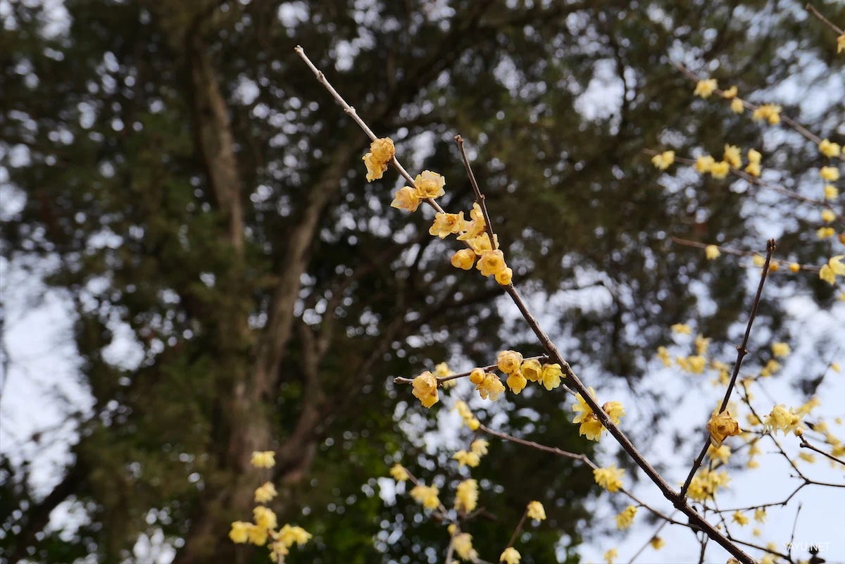 我在苏州逛园子之虎丘-雅余 我在苏州逛园子之虎丘-雅余