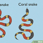 Animal Spirits: Are These Stocks Predators, or Prey?