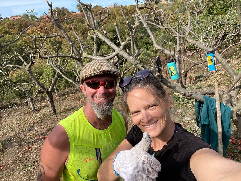 Two people stand in front of a pruned orchard of apple trees giving a thumbs up.